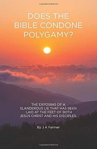Does the Bible Condone Polygamy? cover